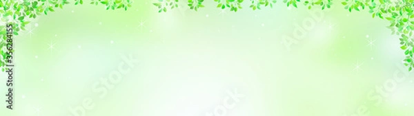 Obraz 新緑の優しい木漏れ日の背景