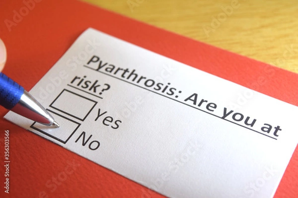 Fototapeta One person is answering question about pyarthrosis.