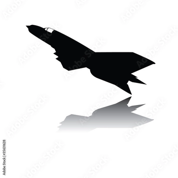 Obraz Military Airplane