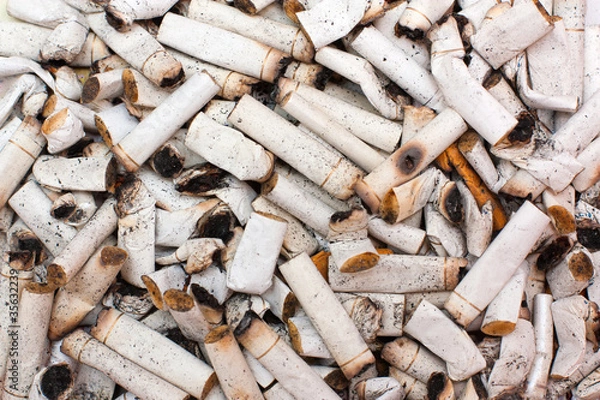 Obraz Cigarette butts