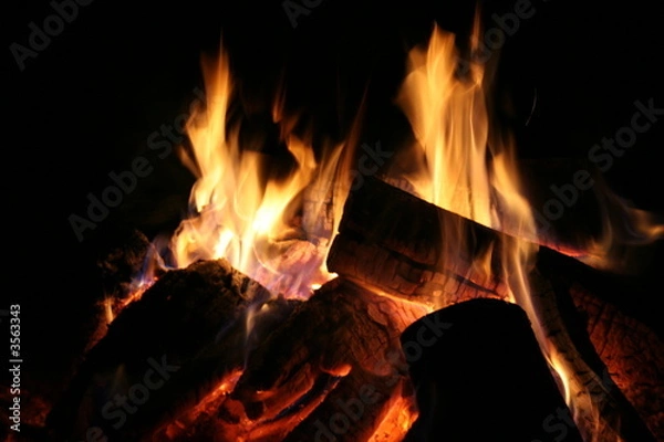 Obraz bonfire