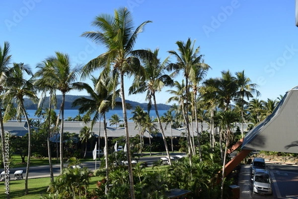 Obraz palm trees on the beach