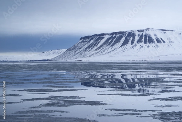 Fototapeta Melting sea ice in the Arctic in "Billefjord" on Spitsbergen. Snow covered mountains in the background