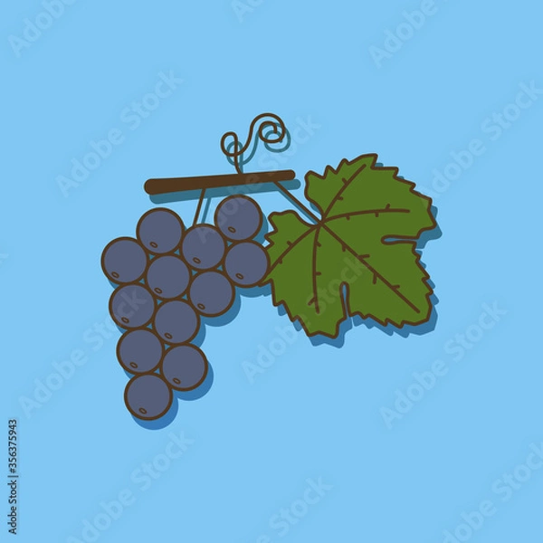 Fototapeta Vine leaf with grapes