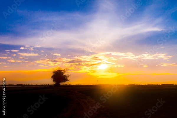 Obraz sunset on the ground