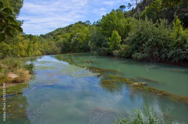 Obraz il corso dell'Argens