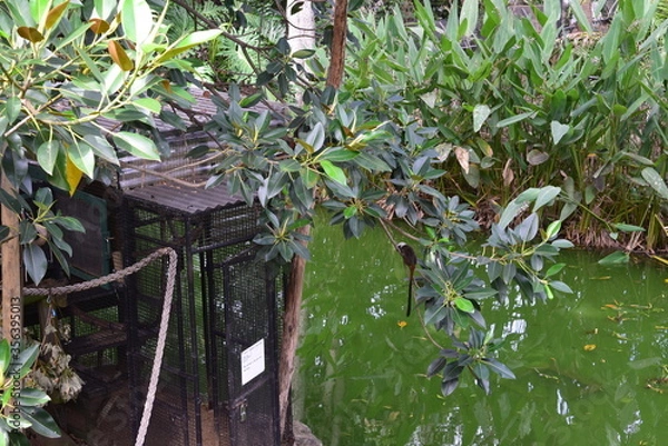 Obraz bird on a fence