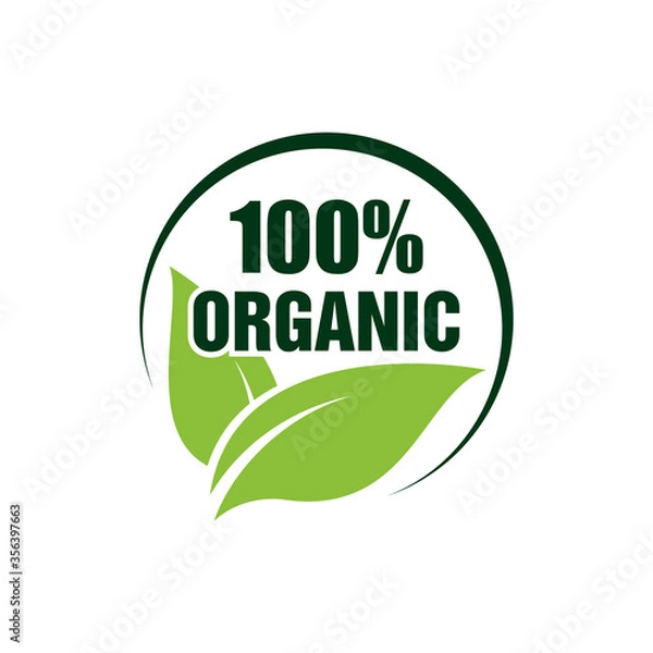 Fototapeta Leaf logo design template - vector