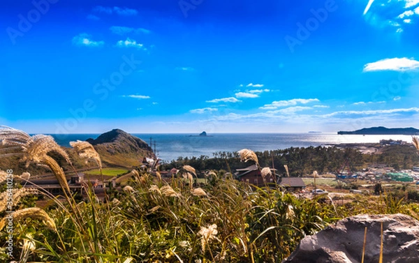 Fototapeta Worth a stop. Breathtaking view of Yongmoeri Hean, Jeju Island from higher ground on the way back from the seashore area.