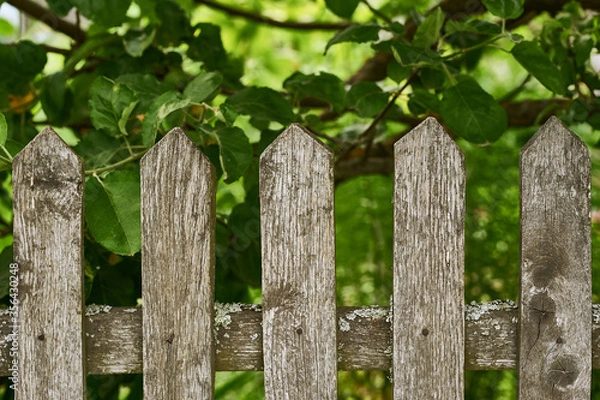 Fototapeta beautiful fence in the village. fence with a green tree. apple fence
