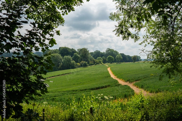 Fototapeta A countryside scene framed with trees and leave.  A pathway leading through fields away into the woods. Fluffy white clouds in the sky over rural England