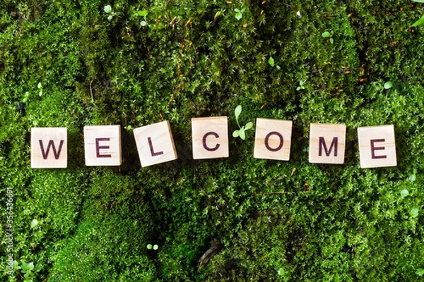 Obraz Word welcome. The word welcome is written on a background of moss. The letters on the wooden blocks add up to the word welcome. The view from the top