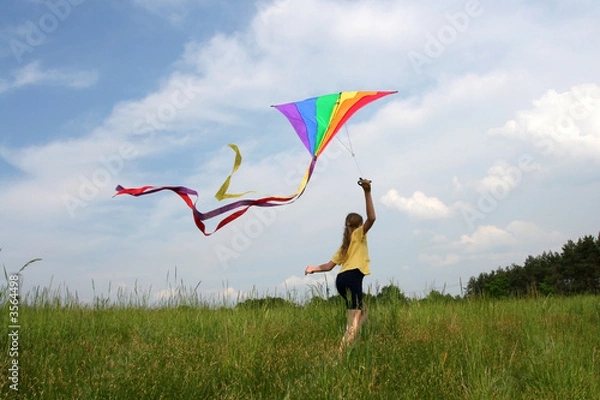 Obraz Flying kite