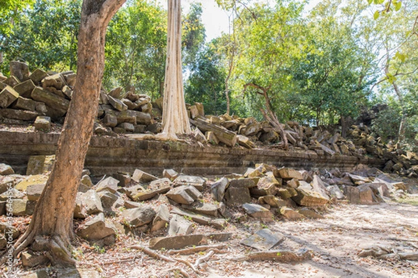 Fototapeta Beng Mealea temple ruins and banyan tree, the Angkor Wat style located east of the main group of temples at Angkor, Siem Reap, Cambodia.
