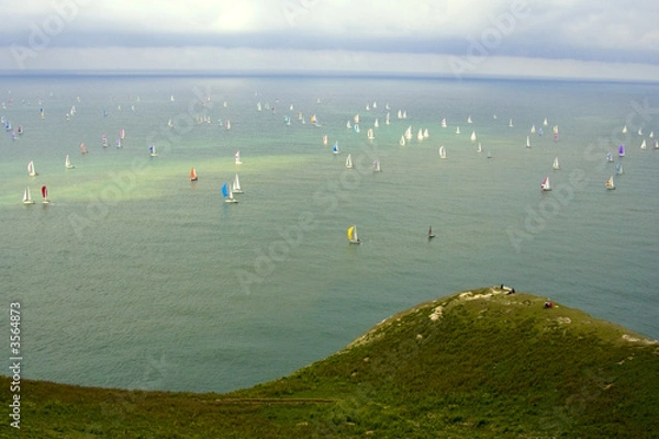 Obraz sailing yachts