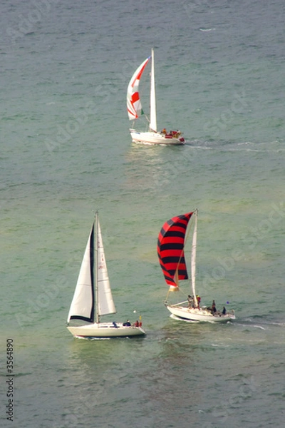 Obraz sailing yachts