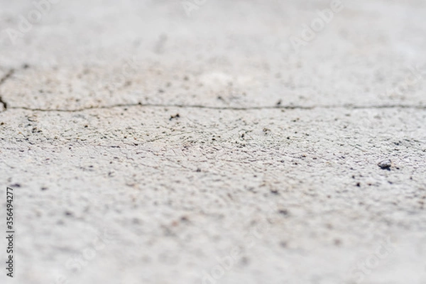 Obraz white soil shallow depth of field closeup macro shot
