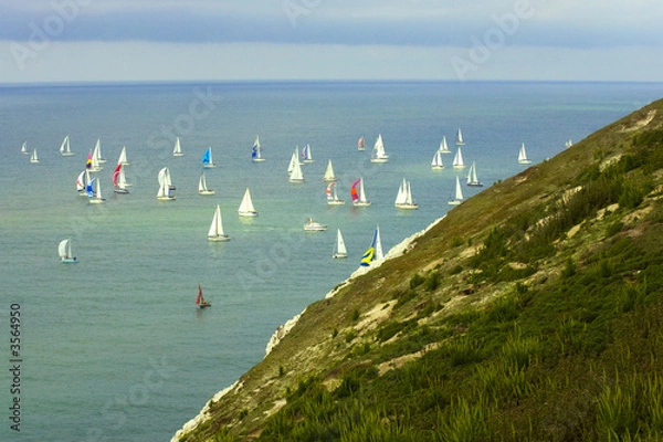 Obraz sailing yachts