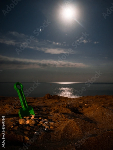 Obraz super bright moon on the beach
