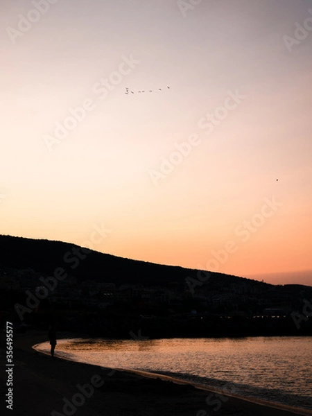 Obraz sunset on the beach with birds
