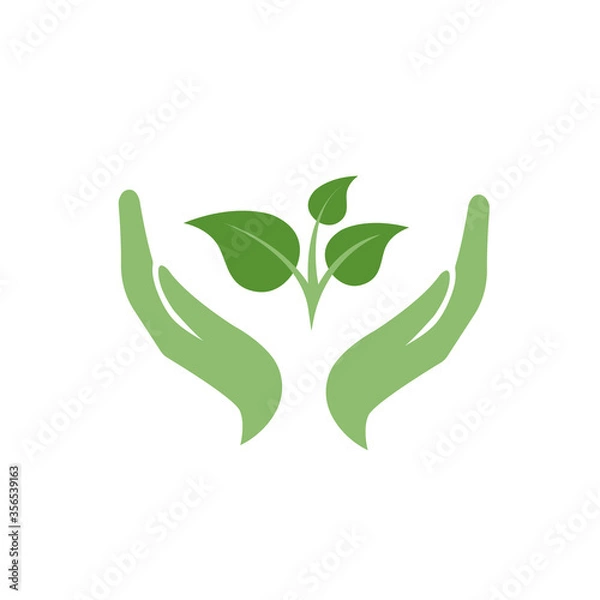 Fototapeta hands holding growing young green sprout of plant in flat cartoon style. vector illustration