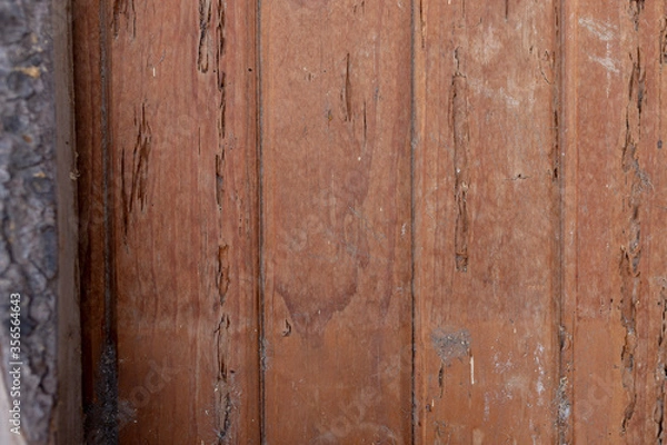 Obraz Texture of an aged wood panel