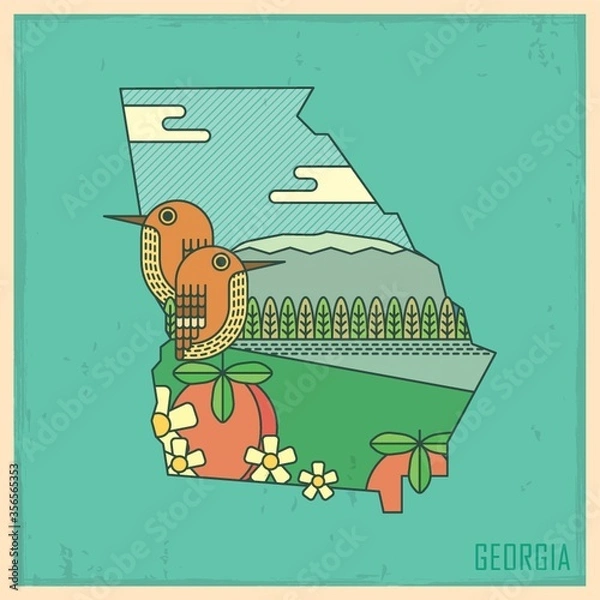 Fototapeta georgia state map