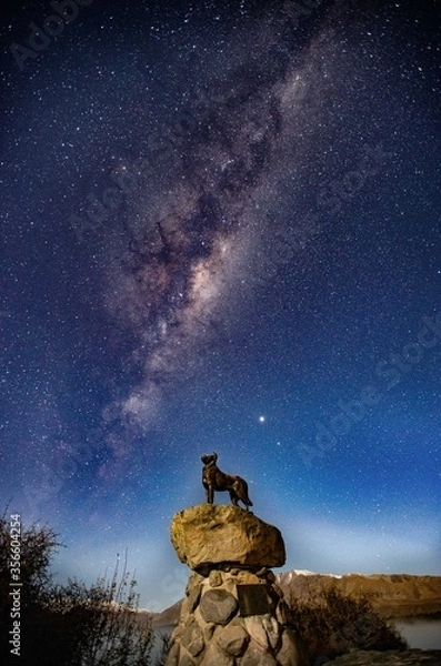 Obraz Tekapo Sheep Dog Memorial Astro