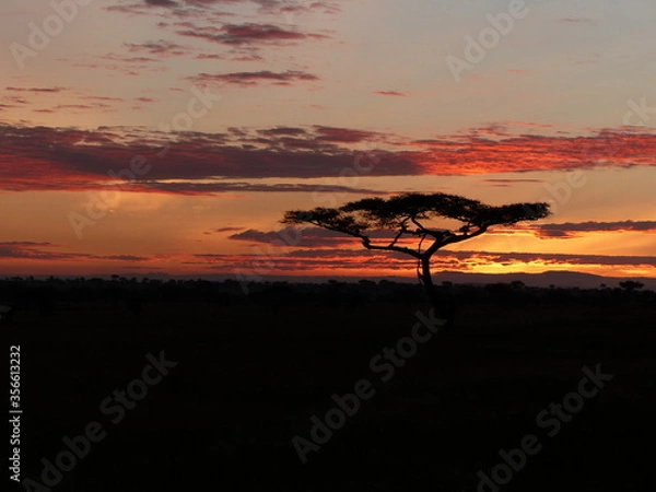 Obraz Sunset in Afrika
