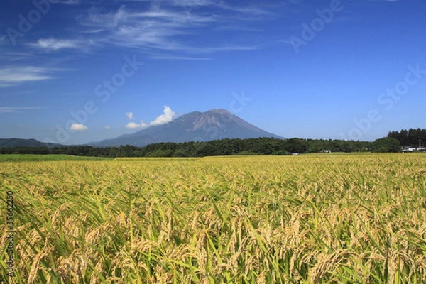 Obraz 岩手山と田園風景