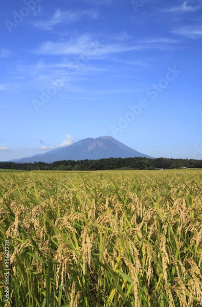 Obraz 岩手山と田園風景