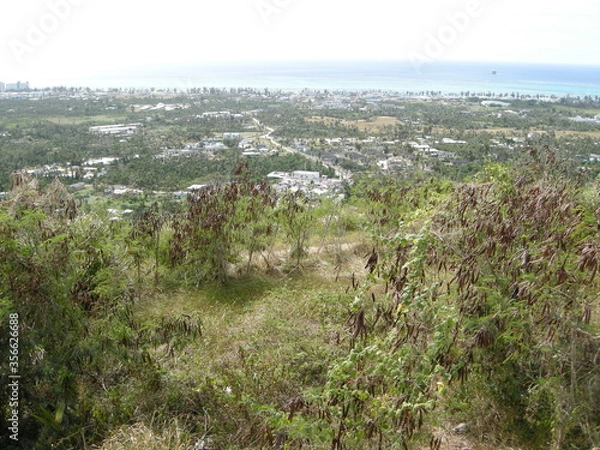 Fototapeta サイパンの海
