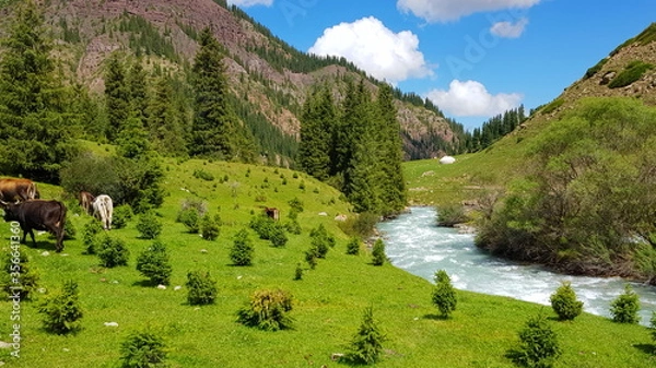 Obraz mountain landscape with river