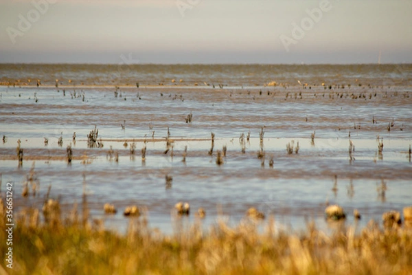 Obraz Wattenmeer