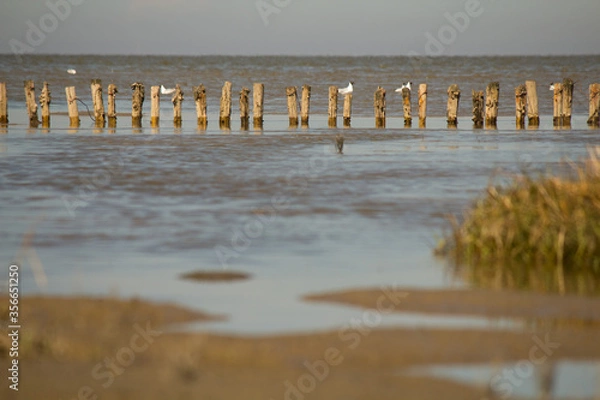 Obraz Nordsee Strand