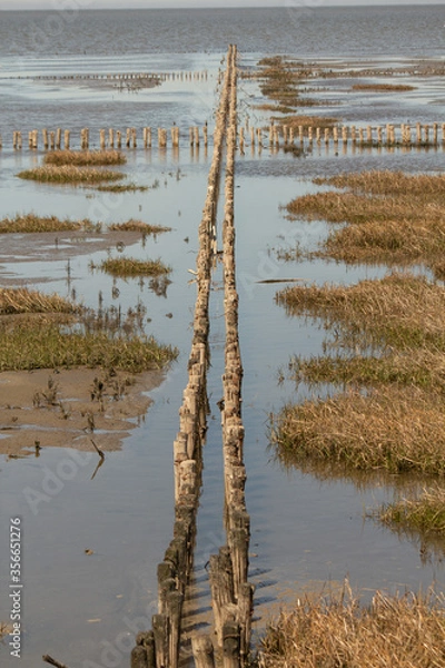 Obraz Nordsee Wattenmeer