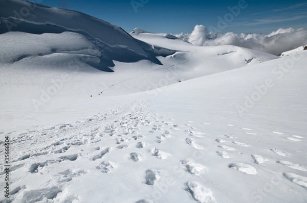 Fototapeta Footprint in the snow