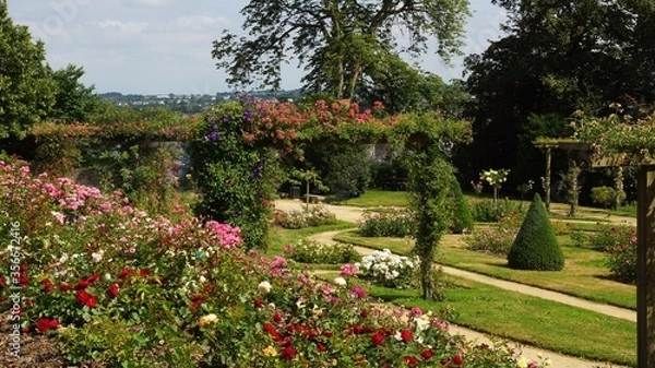 Obraz Roseraie jardin public