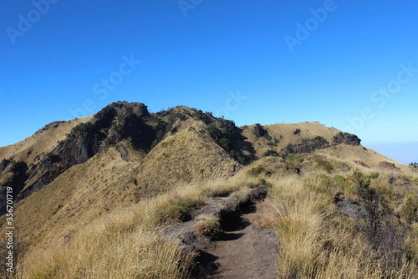 Fototapeta path to the mountains