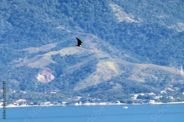 Obraz surfer on the beach