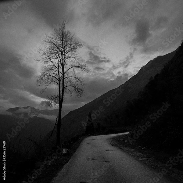 Obraz road in the mountains