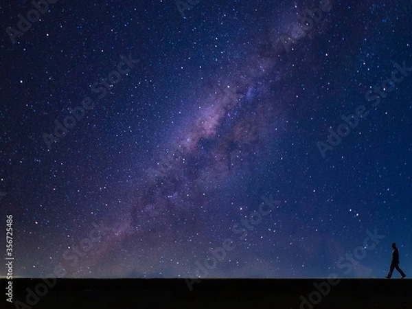 Fototapeta Lone star walker