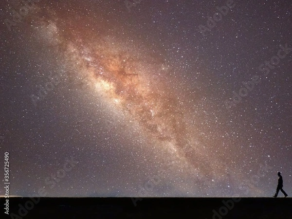 Fototapeta Lone star walker