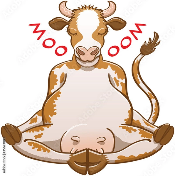 Fototapeta Beautiful cow with brown and white fur, long tail and big udder performing a lotus position while closing its eyes. It is perfectly devoted to meditation while changing its natural moo into an oom
