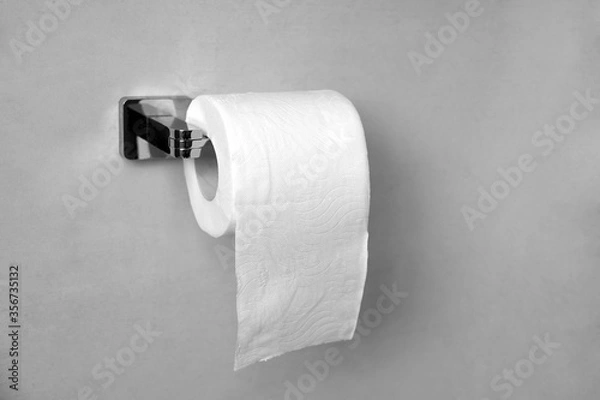 Obraz Roll of toilet paper on a shiny holder hanging of a gray wall