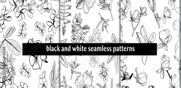 Fototapeta set of  Seamless pattern with hand drawn tropical plants