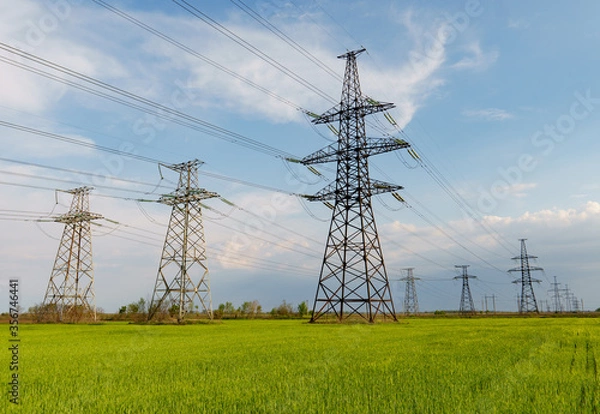 Obraz Electrical net of poles on a panorama of blue sky and green meadow