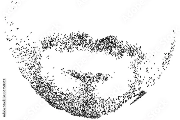 Obraz Vector illustration of black beard in transparent of a white background.
