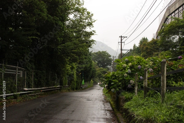 Obraz 自然に囲まれた道です。