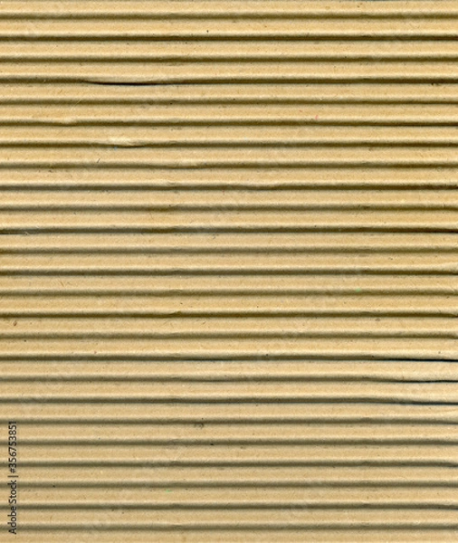Obraz wood texture background